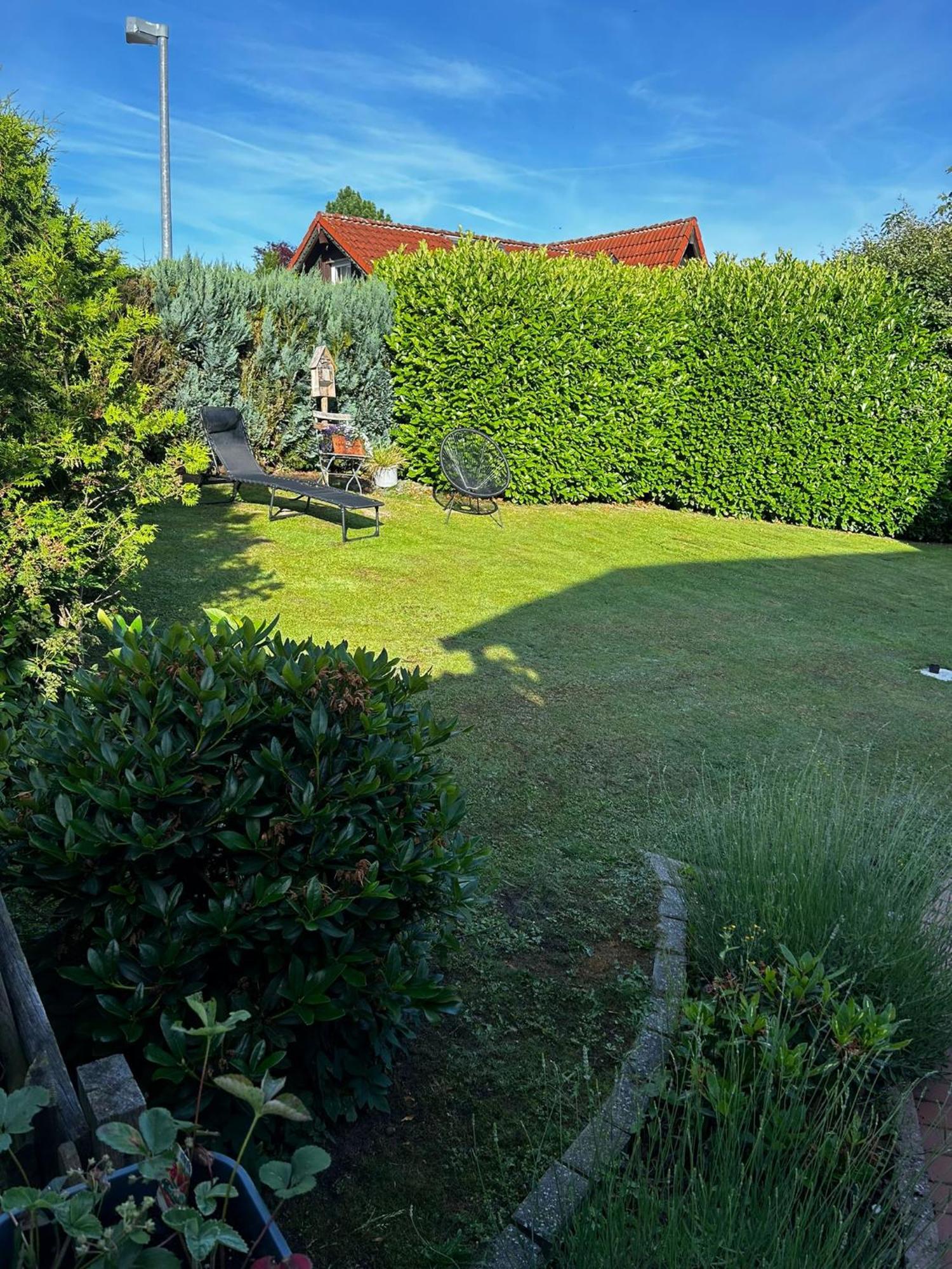 Behagliches Nurdachhaus Im Ferienhausgebiet Langelsheim Exterior foto